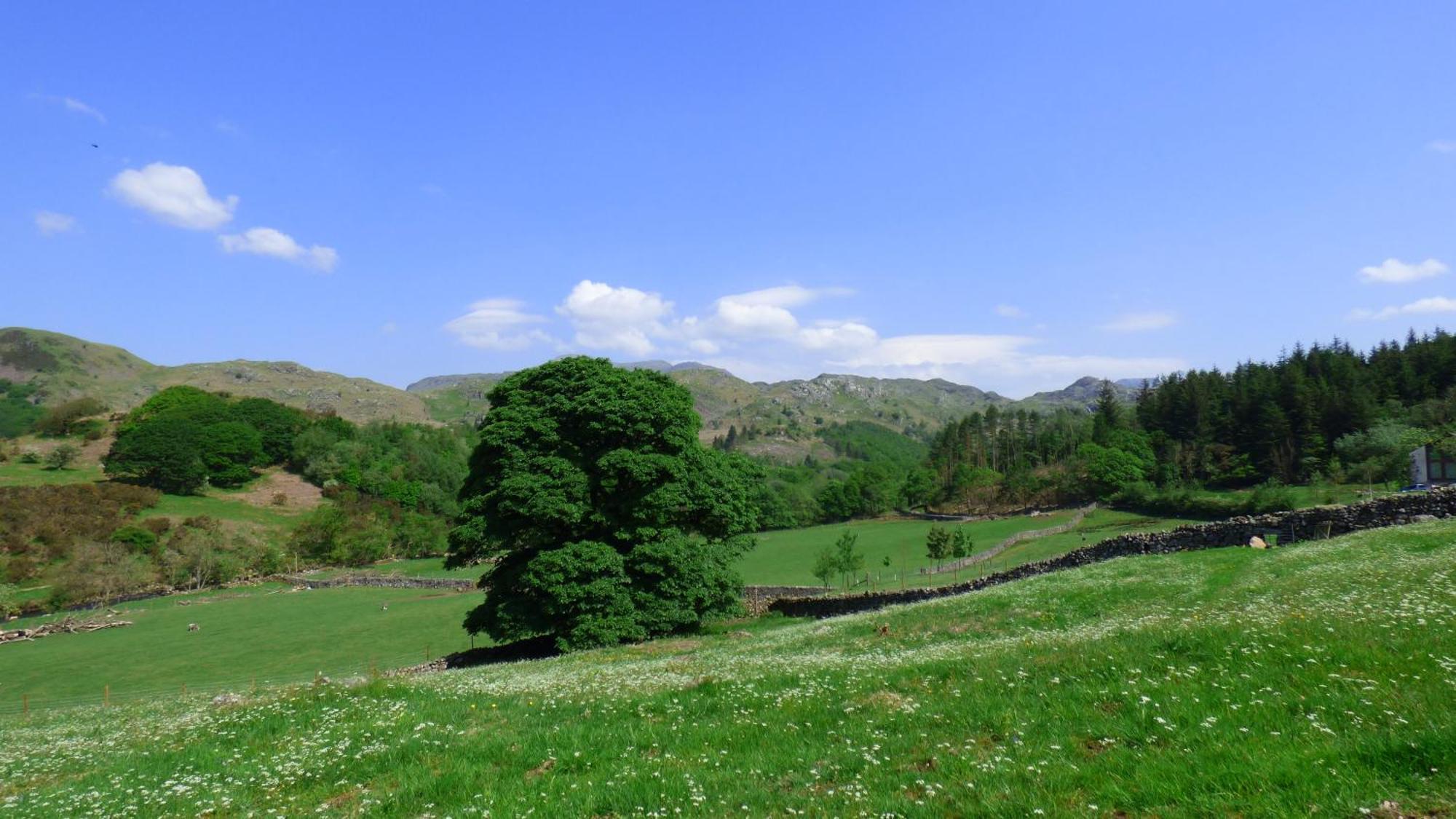 Renovated 5 Bedroom Farmhouse In Picturesque Eskdale, Lake District Екстериор снимка